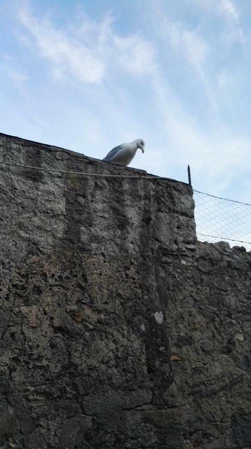 Il Nido Dei Gabbiani Villa Porto Venere Buitenkant foto