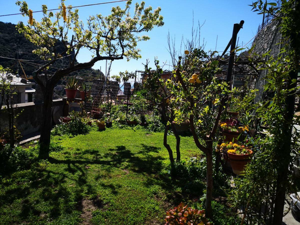 Il Nido Dei Gabbiani Villa Porto Venere Buitenkant foto